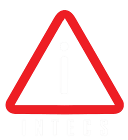 INTECS Logo